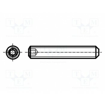 Винт M3x6 BOSSARD B3X6-BN28
