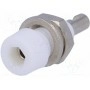 Гнездо ELECTRO-PJP 224-M5-I-WS (PJ224M5-W)