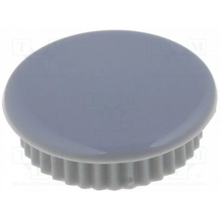 Заглушка MENTOR 332.664 (SK20-Z-G)