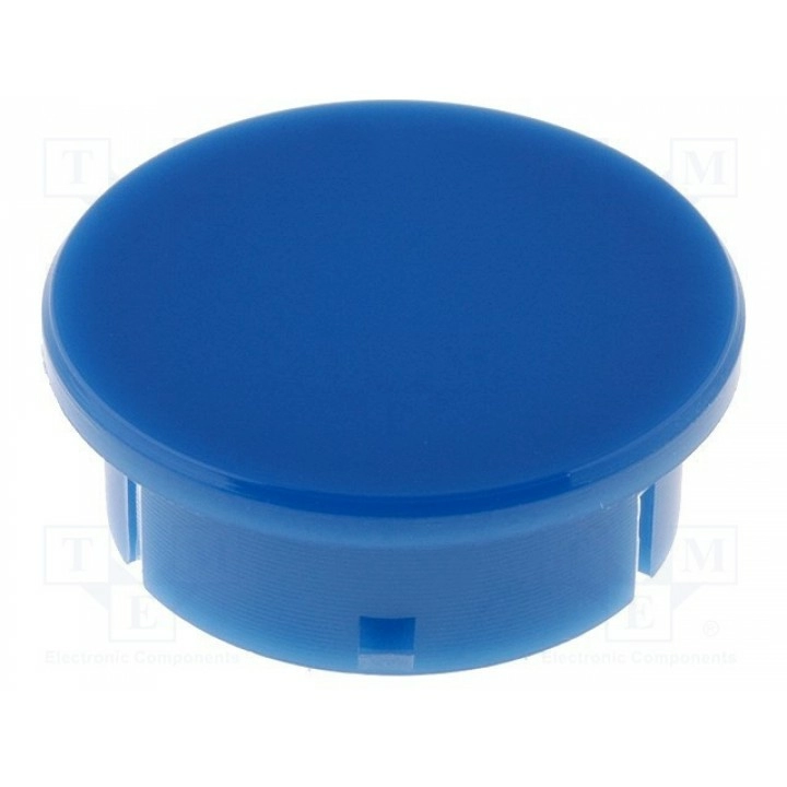 Заглушка полиамид RITEL 3021005 (G21Z-BL)