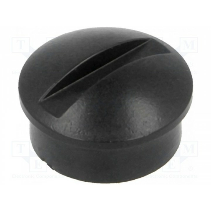 Ручка миниатюрный SR PASSIVES S24O-GC6M-12X3 (GC6M-12X3)