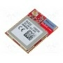 Модуль ZigBee DIZIC DZ-ZB-GA-XM (DZ-ZB-GA-XM)