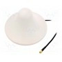 Антенна WiFi 8дБи SR PASSIVES WIFI-ANT915 (WIFI-ANT915)