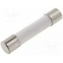 Предохранитель плавкая вставка ESKA 632.121 (ZGSS-2.5A)