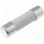 Предохранитель плавкая вставка LITTELFUSE 0215.250HXP (0215.250HXP)