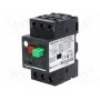 Выключатель двигателя SCHNEIDER ELECTRIC GZ1E04 (GZ1E04)