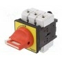 Главный аварийный выключатель-разъединитель SCHNEIDER ELECTRIC VCF4 (VCF4)